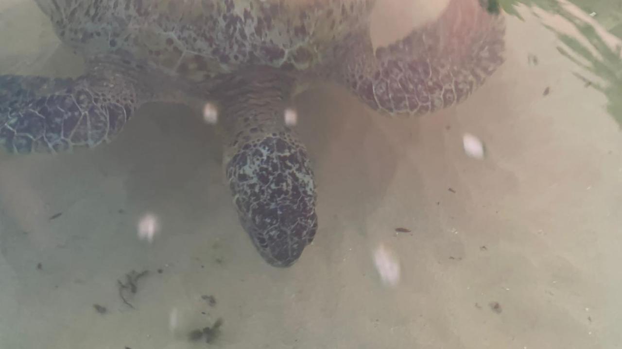 Resident Villa ウナワトゥナ エクステリア 写真