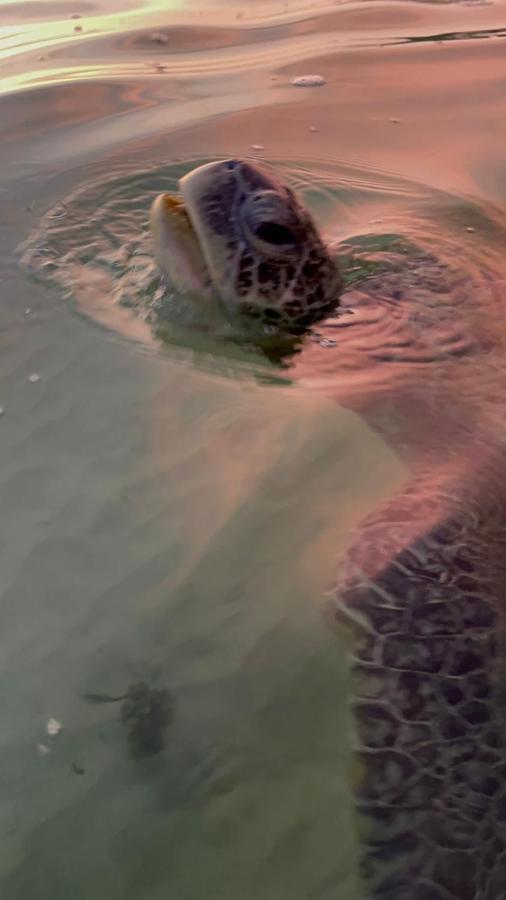 Resident Villa ウナワトゥナ エクステリア 写真